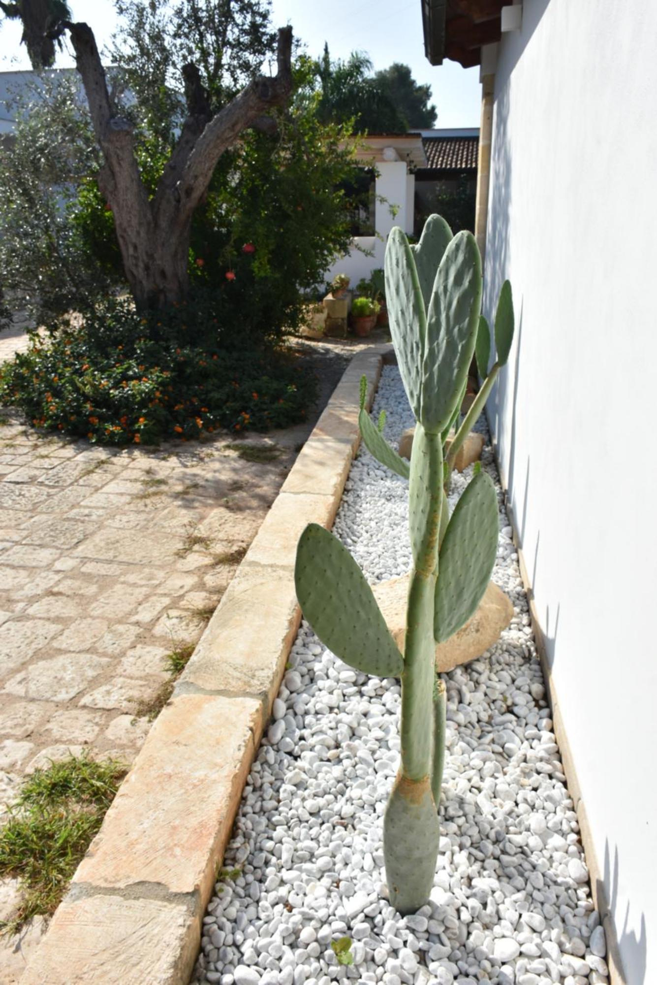 Masseria Tenuta Flora Maria Leverano Luaran gambar